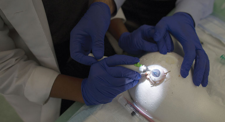 Doctors in a lab