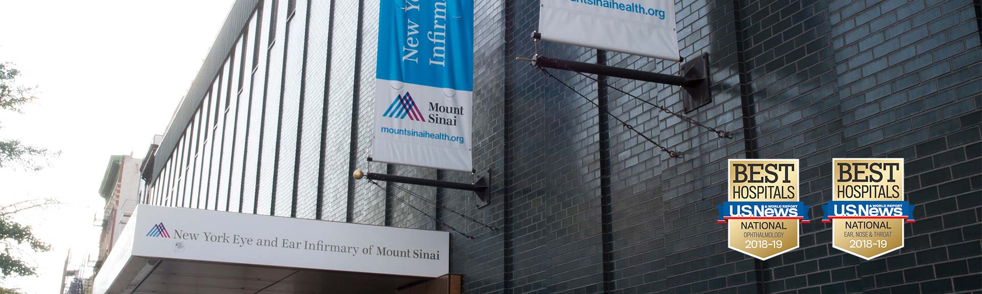 New York Eye and Ear Infirmary of Mount Sinai Building Exterior