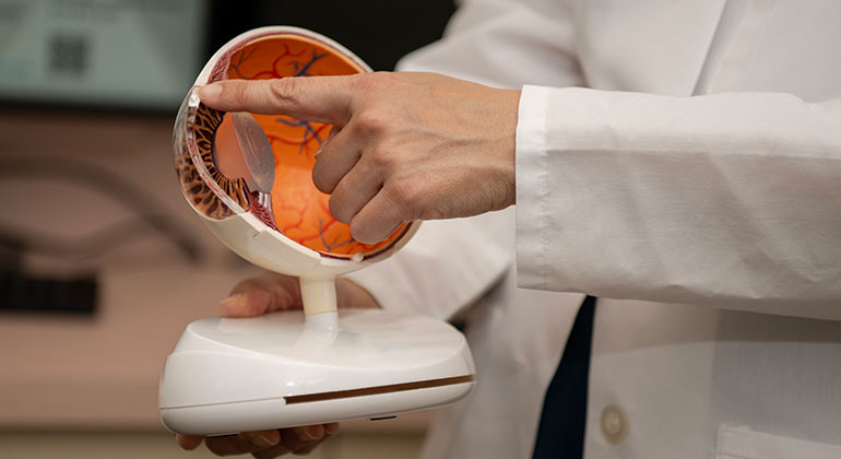EVO Implantable Collamer Lens | New York Eye & Ear