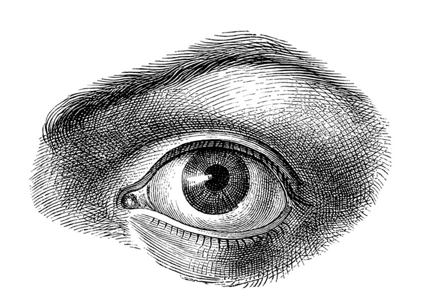 Illustration of an eye